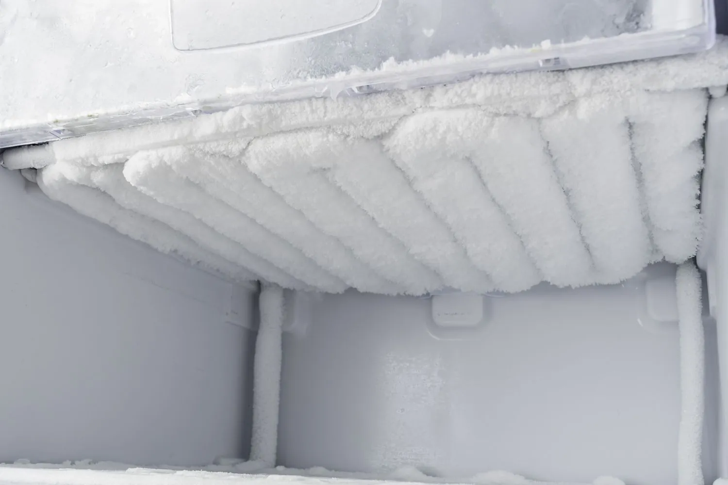 Covered containers with lids stored neatly inside a frost-free freezer