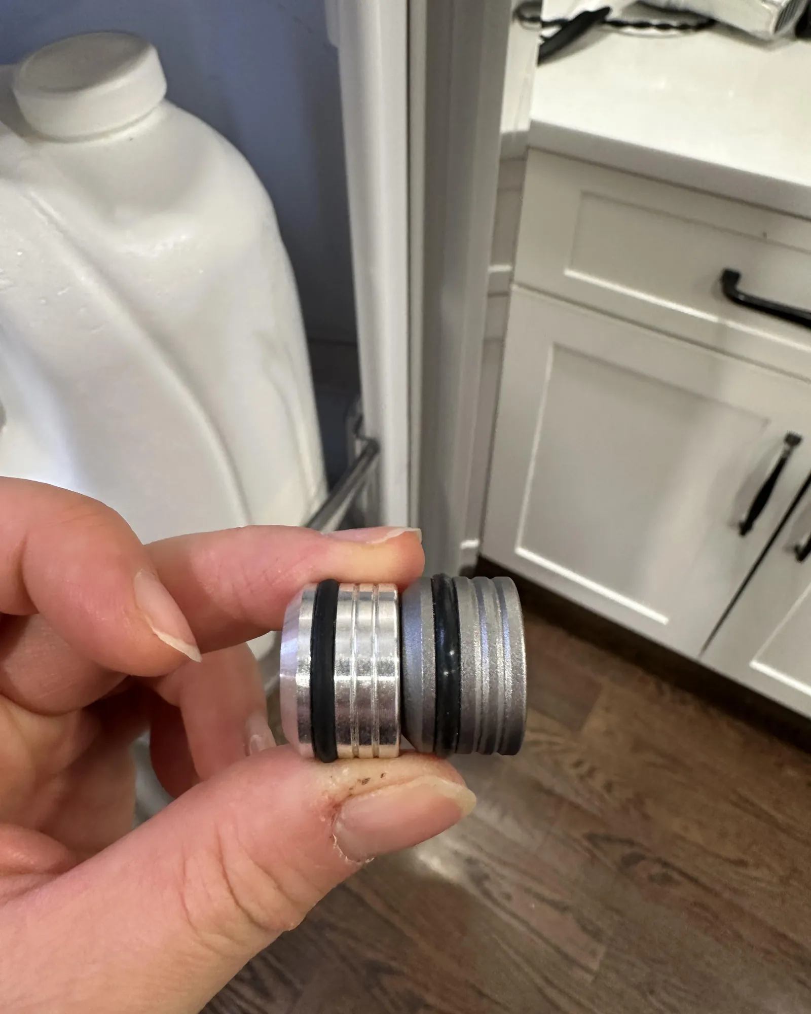 Dollar bill pinched in freezer door gasket during seal test
